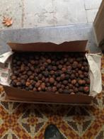 te koop : 30 kg noten aan 3 euro per kg, Diversen, Levensmiddelen, Ophalen