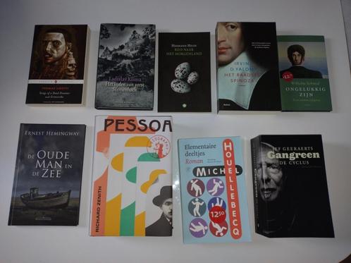 Deel 3: Houellebecq, Pessoa, Hemingway enz., Livres, Romans, Enlèvement ou Envoi