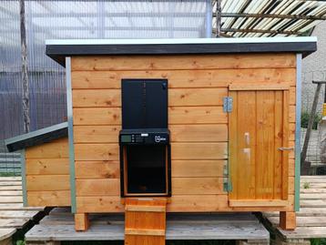 nieuw kippenhok pik/pak + automatische deur aan 59 euro beschikbaar voor biedingen