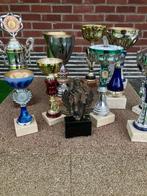 wielertrofee, Fietsen en Brommers, Ophalen, Nieuw