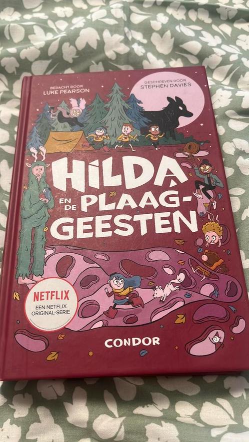 Stephen Davies - Hilda en de plaaggeesten, Boeken, Kinderboeken | Jeugd | onder 10 jaar, Zo goed als nieuw, Verzenden