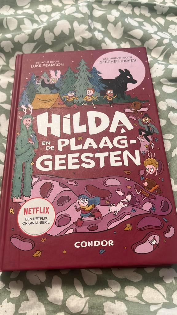 Stephen Davies - Hilda en de plaaggeesten, Boeken, Kinderboeken | Jeugd | onder 10 jaar, Zo goed als nieuw, Verzenden