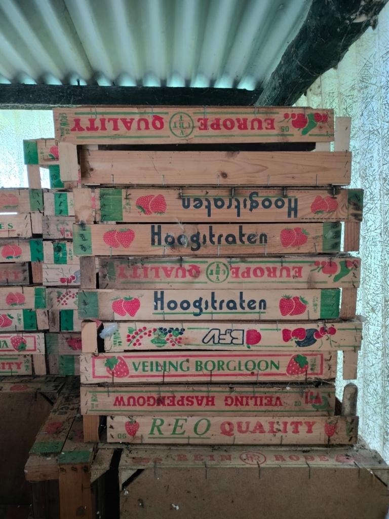 Houten kistjes 50 x 29 x 12 cm stapelbakken, Doe-het-zelf en Bouw, Kratten en Dozen, Gebruikt, Bak of Kist, 50 tot 75 cm, Minder dan 35 cm