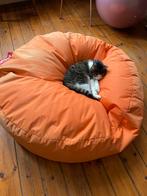 Fatboy, Enlèvement, Utilisé, Orange, Pouf