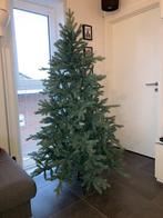 Prachtige kerstboom - Triumph Nottingham Pine tree, Diversen, Ophalen, Zo goed als nieuw