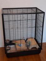 Kooi voor hamsters.rattten.vogels, Ophalen, Zo goed als nieuw