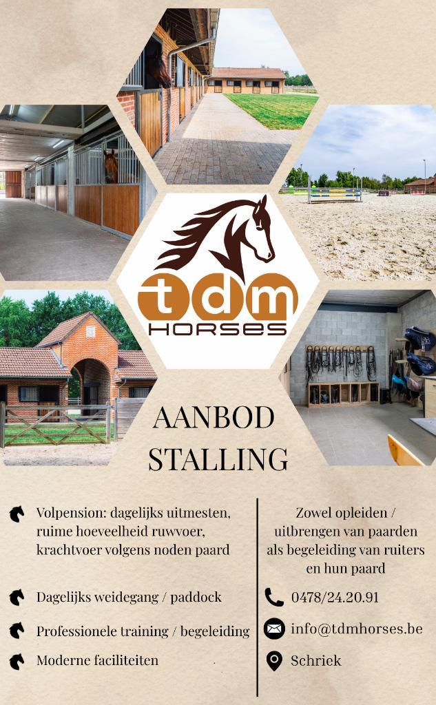 Opleiden/uitbrengen paarden - begeleiding wedstrijdruiters, Dieren en Toebehoren, Paarden