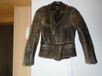 Sterke motojas in buffel leder maat S / M, Ophalen of Verzenden, Gedragen, Maat 48/50 (M), Bruin