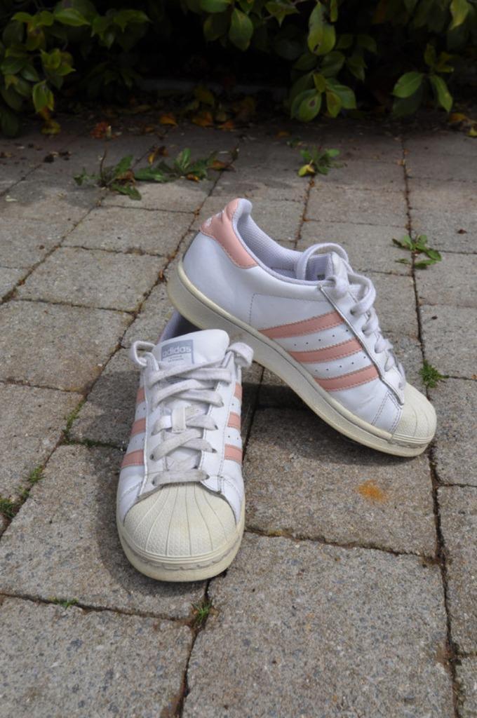 Adidas superstar blanc et rose t.36/uk 3.5, Kleding | Dames, Schoenen, Gedragen, Sneakers, Wit, Ophalen