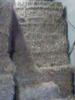 hooi, Dieren en Toebehoren, Ophalen of Verzenden