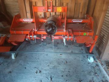 Maschio u155 frees 160cm, Enlèvement, Cultures