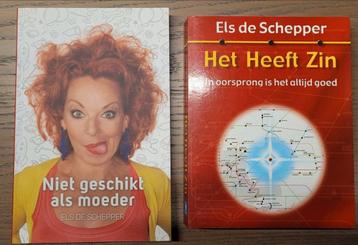 Els De Schepper Het heeft zin / Niet geschikt als moeder, Enlèvement ou Envoi, Comme neuf
