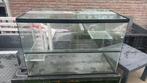 Terrarium, Dieren en Toebehoren, Ophalen, Gebruikt
