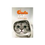 Calendrier Cute Cats 2018, Divers, Calendriers, Enlèvement ou Envoi, Calendrier annuel, Neuf