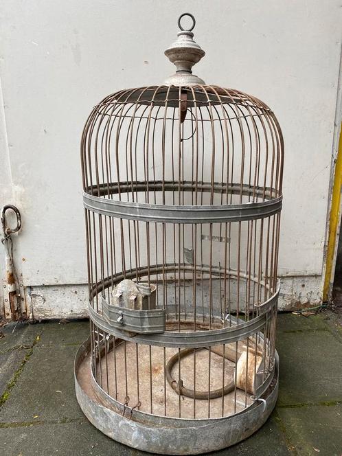 Ancienne Cage à Oiseaux/Perroquet en Métal - 19e Siècle, Antiquités & Art, Curiosités & Brocante