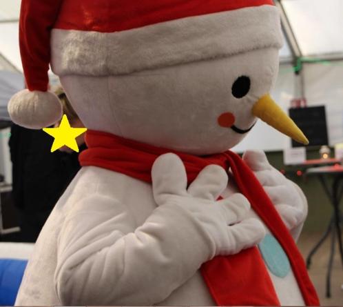 Verkleedpak/Mascotte kostuum sneeuwman/sneeuwpop, Divers, Noël, Utilisé, Enlèvement