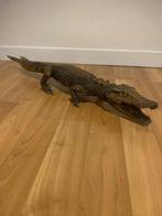 Opgezette krokodil van Congo, Ophalen of Verzenden