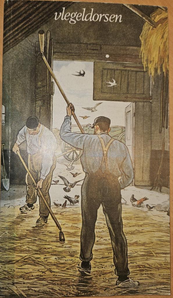 Vlegeldorsen, Boeken, Techniek, Zo goed als nieuw, Overige onderwerpen, Ophalen of Verzenden