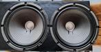 PREVOX WF 30, Muziek en Instrumenten, Verzenden, Gebruikt, Gitaar, 100 watt of meer