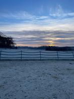 induline omheining paardenpiste/weide, Dieren en Toebehoren