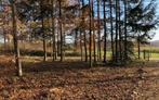 Grond te koop in Erezée Soy, Immo, 1500 m² of meer