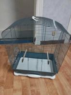 Cage oiseaux, Enlèvement