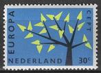 Nederland 1962 - Yvert 759 - Europa  (PF), Timbres & Monnaies, Timbres | Pays-Bas, Envoi, Non oblitéré