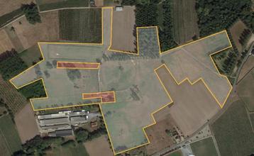11,5 HA akkerland en weiland Houtstraat Wellen  beschikbaar voor biedingen