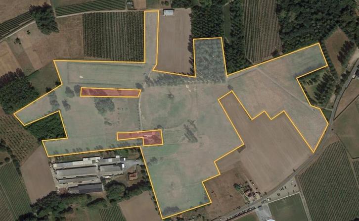 11,5 HA akkerland en weiland Houtstraat Wellen, Immo, Terrains & Terrains à bâtir, 1500 m² ou plus, Ventes sans courtier