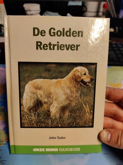 Livre - Le Golden Retriever (John Tudor), Livres, Animaux & Animaux domestiques, Comme neuf, Chiens, Envoi