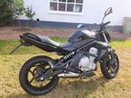 Kawasaki ER6n, Particulier