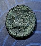 Sicile - Syracuse - Bronze au pégase, Enlèvement ou Envoi, Monnaie en vrac, Autres pays