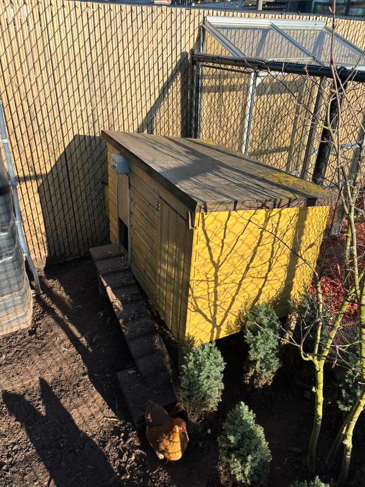 Groot kippenhok (zonder vossenluik), Dieren en Toebehoren, Pluimvee | Toebehoren, Gebruikt, Kippenhok of Kippenren, Ophalen