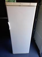 Electrolux koelkast met defecte thermostaat, 200 liter of meer, Zonder vriesvak, Gebruikt, 160 cm of meer