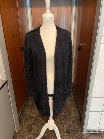 Gilet femmes beschikbaar voor biedingen