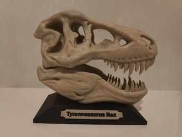 Crâne de T-Rex imprimé en 3D