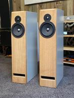 LexiCone Acoustics Syntagma A2, Ophalen, Gebruikt, Front, Rear of Stereo speakers