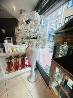 Orchidee met Wazen, Huis en Inrichting, Kamerplanten, Ophalen