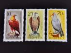 Albanie 1966 - oiseaux - oiseaux de proie, Enlèvement ou Envoi, Autres pays, Affranchi