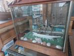 Diorama met de Mercator, Hobby en Vrije tijd, Modelbouw | Boten en Schepen, Ophalen, Gebruikt