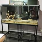 Terrarium sur pied!, Enlèvement, Utilisé