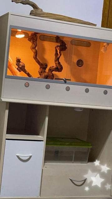 Terrarium +meuble, Enlèvement