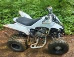 Quad yamaha raptor 250, Motoren, Particulier