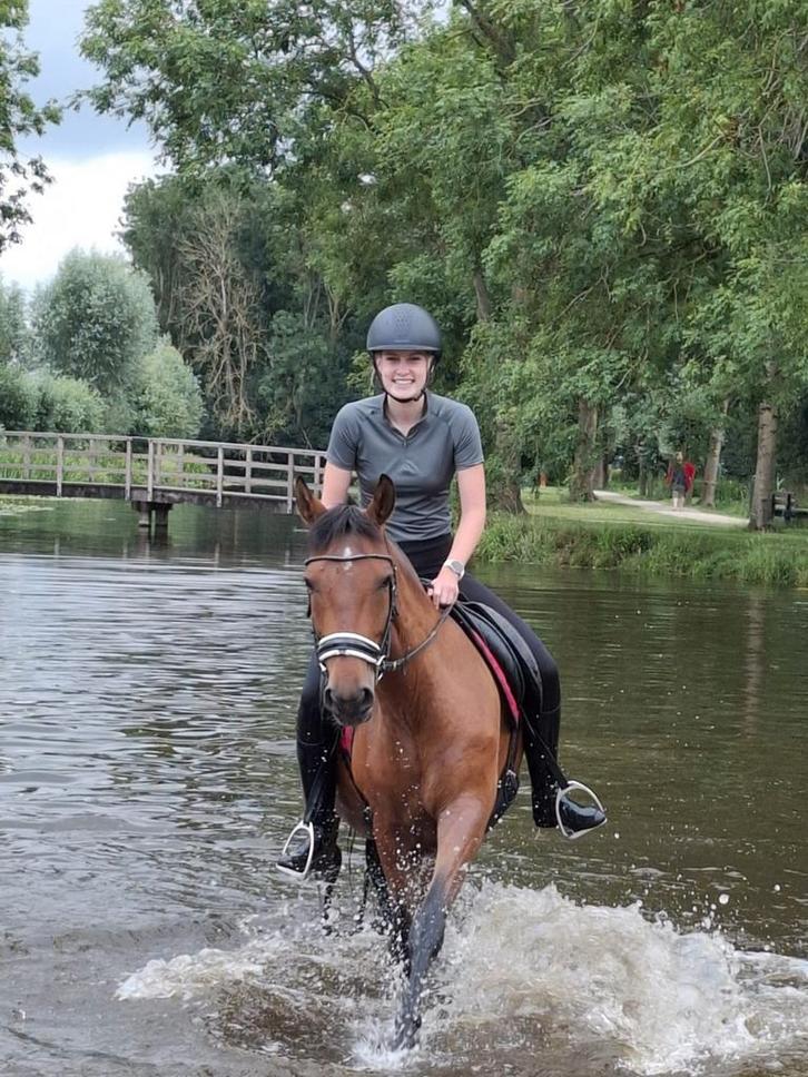 Lieve D pony, Dieren en Toebehoren, Pony's, Ruin, B, D pony (1.37m tot 1.48m), Recreatiepony, 7 tot 10 jaar, Gechipt, Ontwormd