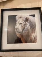 Oeuvre Rinpoché de l’artiste Drochon (en cadre), Antiek en Kunst, Kunst | Tekeningen en Fotografie, Ophalen