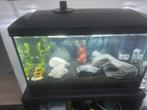 Superfish aquarium 90L, Ophalen, Zo goed als nieuw