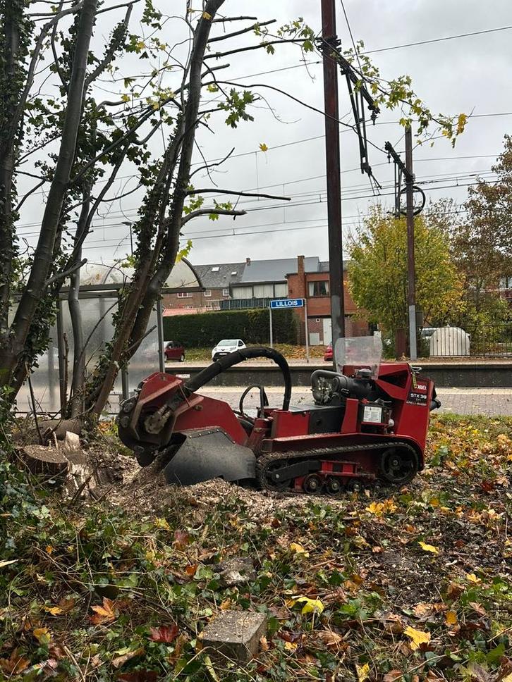 Rognage de souches – Toutes tailles & accès difficiles, Jardin & Terrasse, Débroussailleuses, Enlèvement