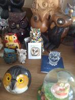 Uilen (vele soorten...allerlei landen)., Verzamelen, Ophalen, Zo goed als nieuw