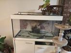 Zout water aquarium, Dieren en Toebehoren, Ophalen, Zo goed als nieuw