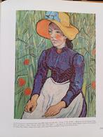 Kunstboek "Vincent" 345 blz Franse versie, Boeken, Ophalen of Verzenden, Zo goed als nieuw, Schilder- en Tekenkunst